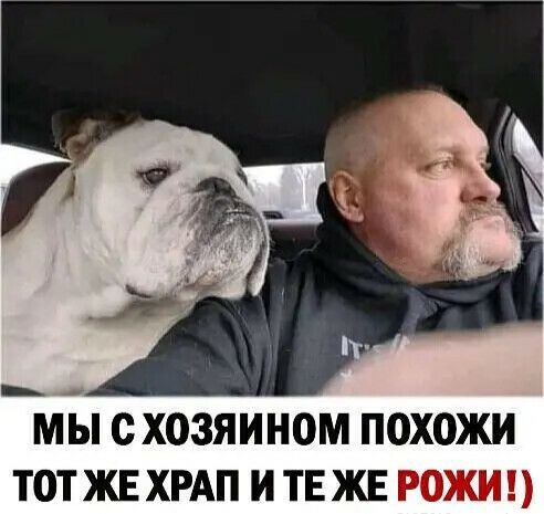 мЪп с хозяином похожи тотжвхрдп и таже рожип