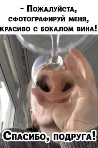 Пожилуйстд соотогиоигуй меня кмсиво с потом винд Ь А 911331535