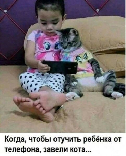 Когда чтобы отучить ребёнка от телефона завели кота