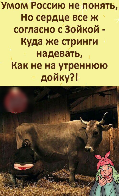 Умом Россию не понять Но сердце все ж согласно с Зойкой Куда же стринги надевать Как не на утреннюю дойку