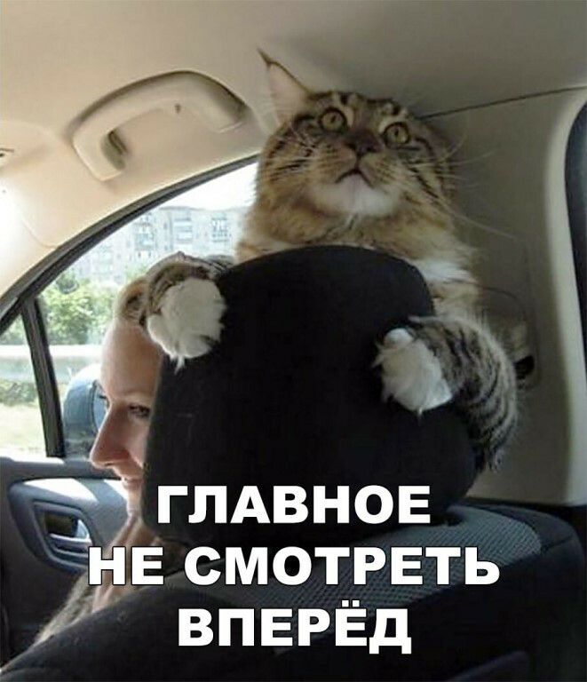 ВПЕРЁд