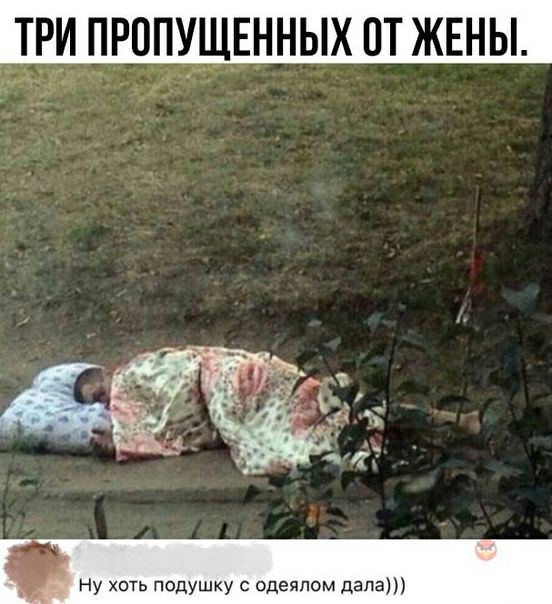 ТРИ ПУРОПЕННЫХ ОТ ЖЕНЫ Ну хоть подушку с одеялом дала