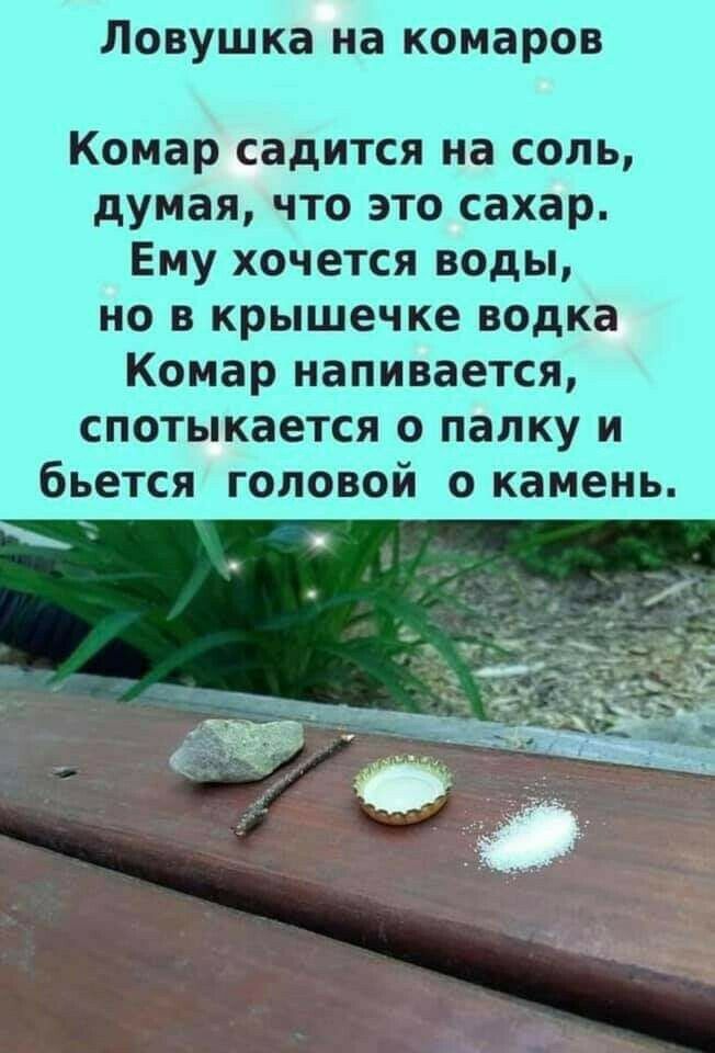 Ловушка на комаров Комар садится на соль думая что это сахар Ему хочется воды но в крышечке водка Комар напивается спотыкается о папку и бьется головой о камень