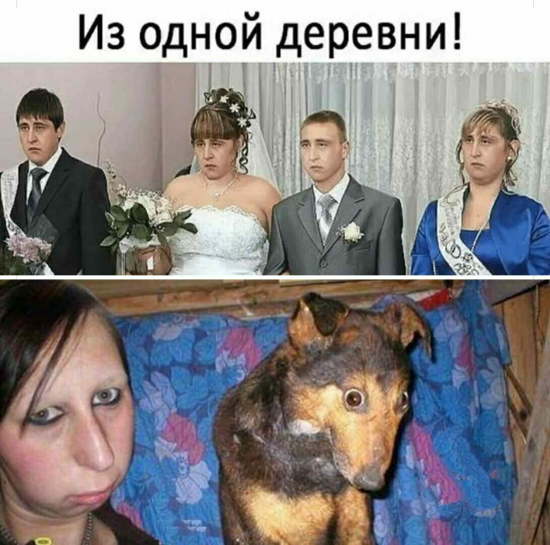 Из одной деревни іі