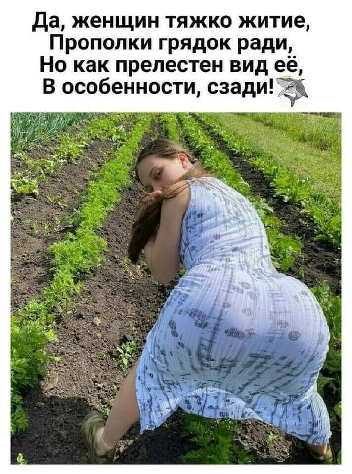 да женщин тяжко житие Прополки грядок ради Но как прелестен вид её В особенности сзади