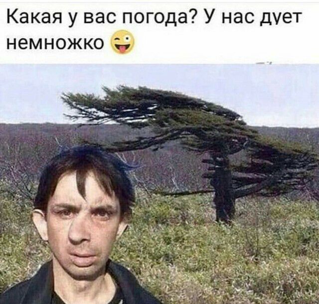Какая у вас погода У нас дует немножко
