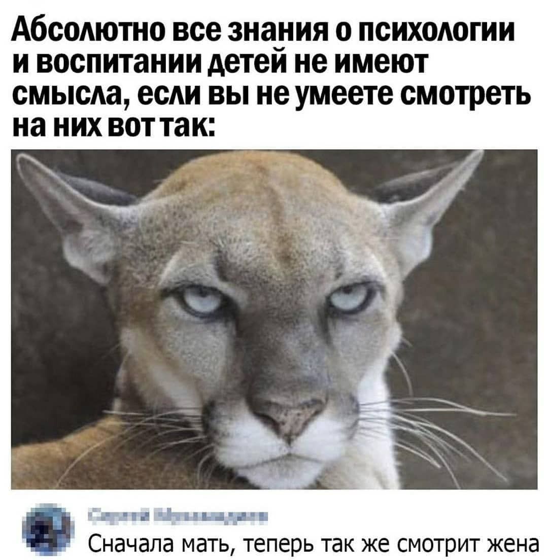 Абсолютно все знания 0 психологии ивоспитании детей не имеют смысла, если вы не умеете смотреть на них воттак: ё сначала мать, теперь так же смотрит жена