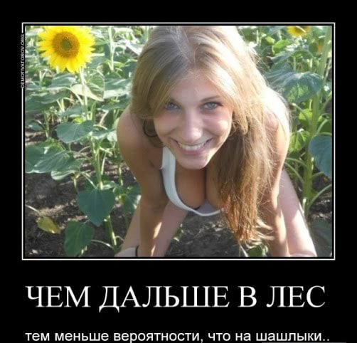 ЧЕМ ДАЛЬШЕ В ЛЕС тем меньше вероятности что на шашлыки