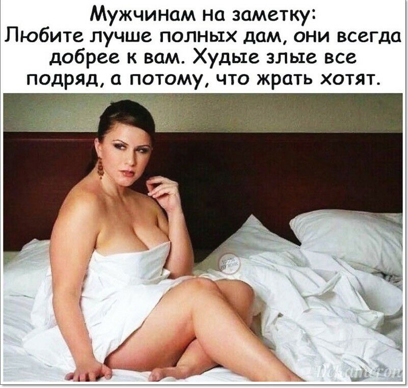 Мужчинам на заметку Любите лучше полных дам они всегда добрее к вам Худые злые все подряд а потому что жрать хотят