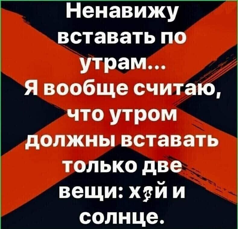 Ненавижу вставать по утрам Я вообще считаю что утром должны вставать только две вещи хрй и солнце