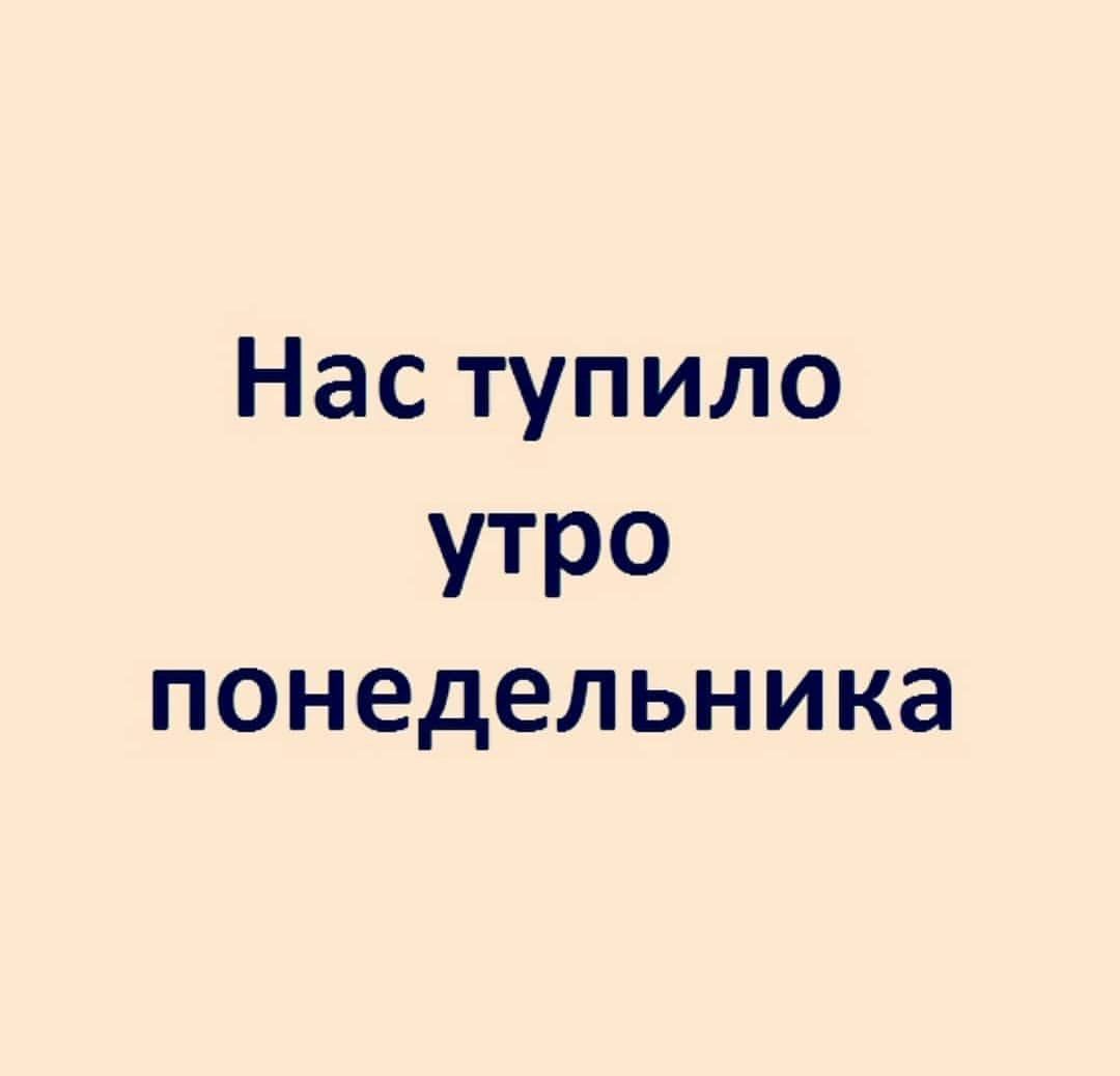 Наступило утро понедельника