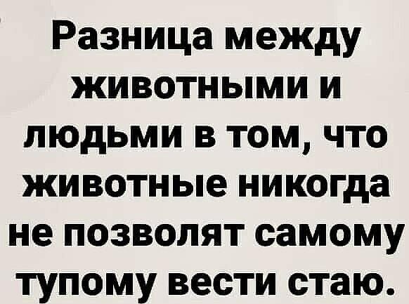 Разница между животными и людьми в том что животные никогда не позволят самому тупому вести стаю