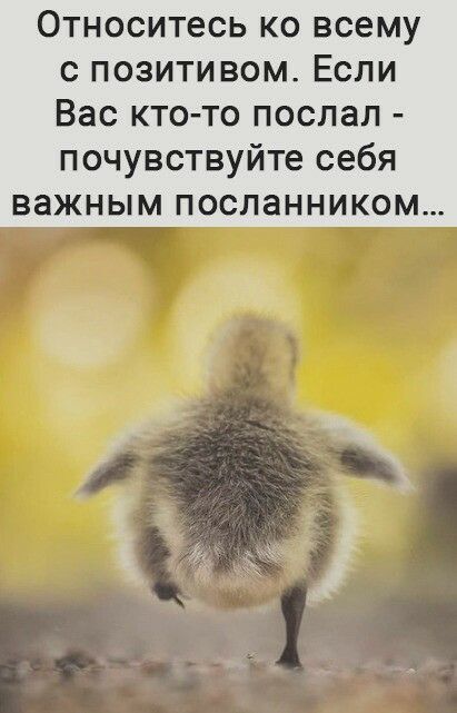 ОТНОСИТеСЬ КО всему С ПОЗИТИВОМ ЕСЛИ Вас кто то послал почувствуйте себя важным посланником