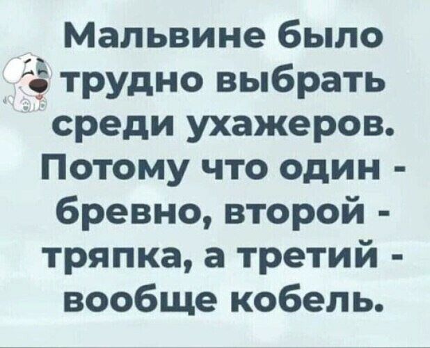 Мальвине было трудно выбрать среди ухажеров Потому что один бревно второй тряпка а третий вообще кобель