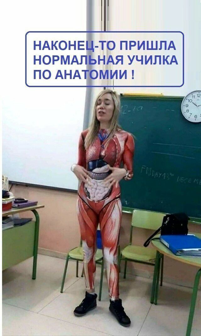 НАКОНЕЦ ТО ПРИШЛА НОРМАЛЬНАЯ УЧИЛКА ПО АНАТОМИИ