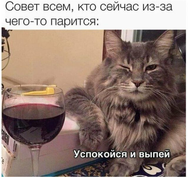 СОВЭТ ВСЭМ КТО СВЙЧдС ИЗЗЭ ЧЭГО ТО парится Успокойся и выпей Ф