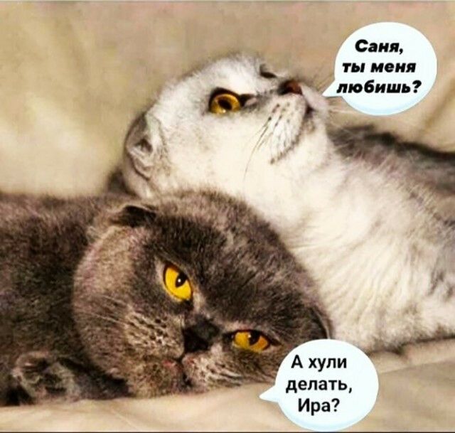 Саня _ ты меня любишь А хули делать Ира