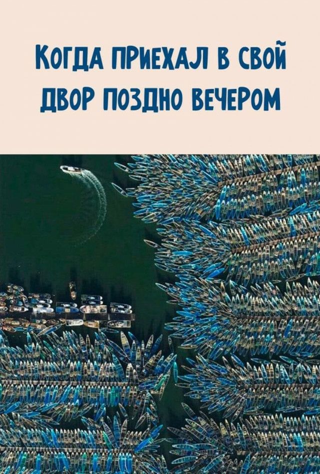 когпА привил в свой 1150 поздно вечером щшмщдм Я