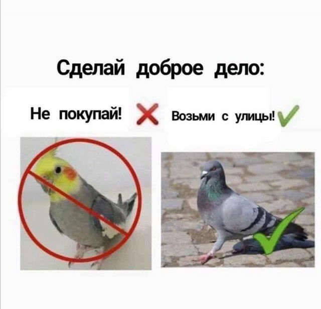 Сделай доброе дело н е покупаи Возьмисушцы