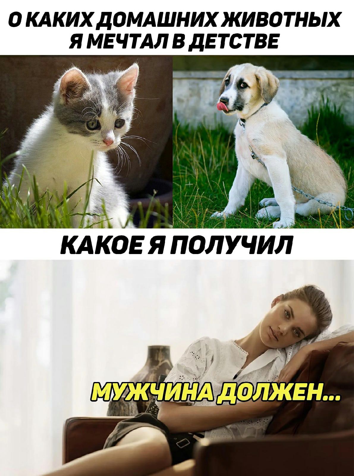 О КАКИХ ДОМАШНИХ ЖИВОТНЫХ Я МЕ ЧТАЛ В ДЕ ТСТВЕ і КАКЪЕя 1