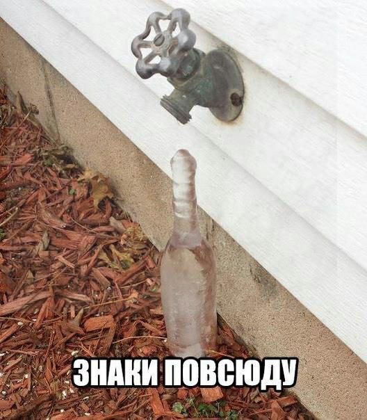 види