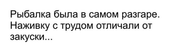 Рыбалка была в самом разгаре Наживку с трудом отличали от закуски