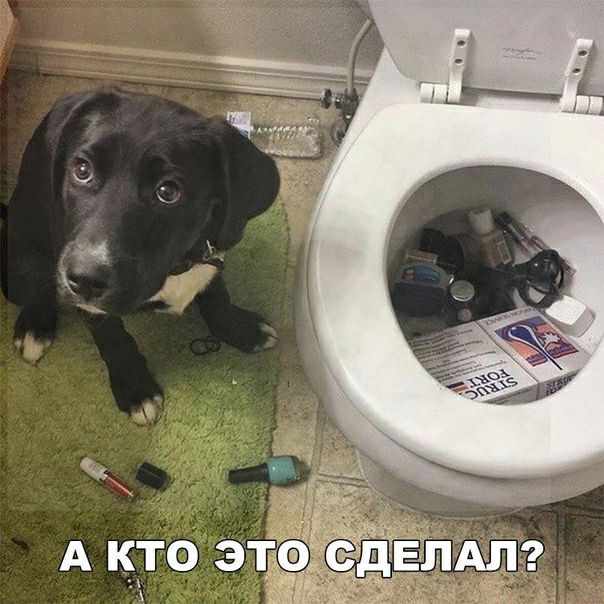 А кто 3 да с д