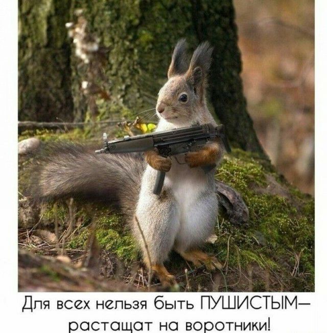 дд Дпя всех нельзя быть ПУШИСТЫМ оосто от но вооотники