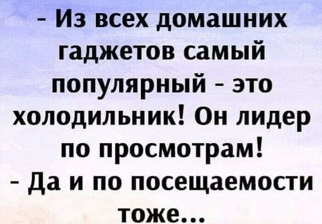 Из всех домашних гаджетов самый популярный это холодильник Он лидер по просмотрам Да И ПО посещаемости ТОЖЕ