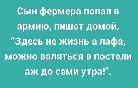 Сын фермера попал в армию пишет домой Здесь не жизнь а лафа можно валяться в постели аж до семи утра