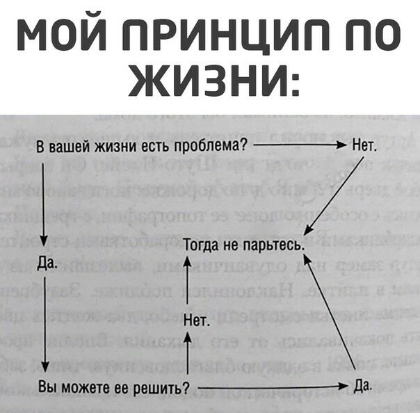 мой принцип по ЖИЗНИ В вашей жизни есть проблема _ Нет 1 Тогда не парьтесь д Т 1 г Вы можете ее решть _ да