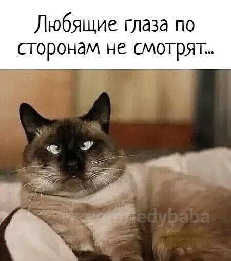 Любящие глаза по сторонам Не СМОТРЯТ