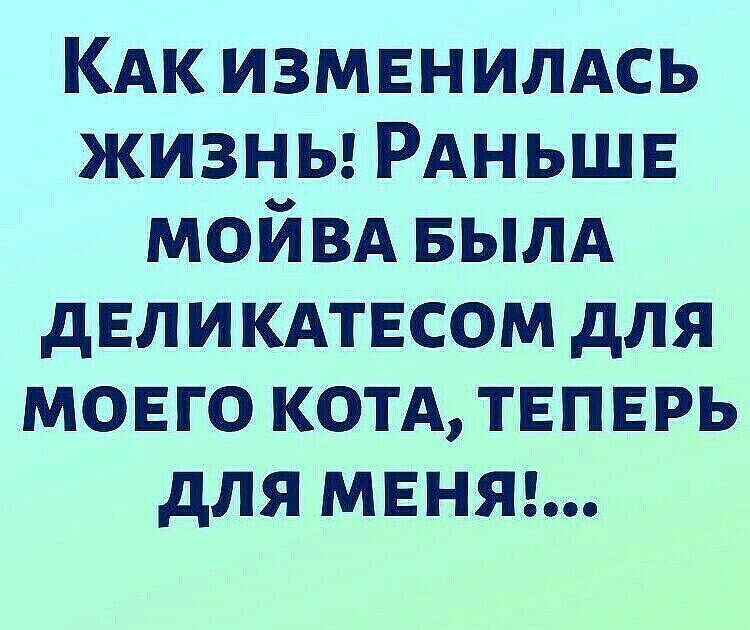 КАк ИЗМЕНИЛАСЬ жизны РАНЬШЕ мойвд БЫЛА дЕЛИКАТЕСОМ для МОЕГО котд ТЕПЕРЬ для МЕНЯ