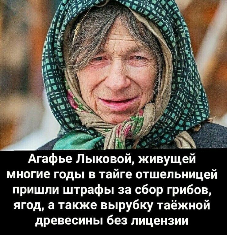 Агафье Лыковой живущей многие годы в тайге отшельницей пришли штрафы за сбор грибов ягод а также вырубку таёжной древесины без лицензии