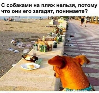 С собаками на пляж нельзя потому что они его загадят понимаете Ы дг_