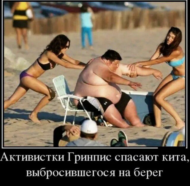 ктивистки Грш шис спасают кита выбросившегося на берег