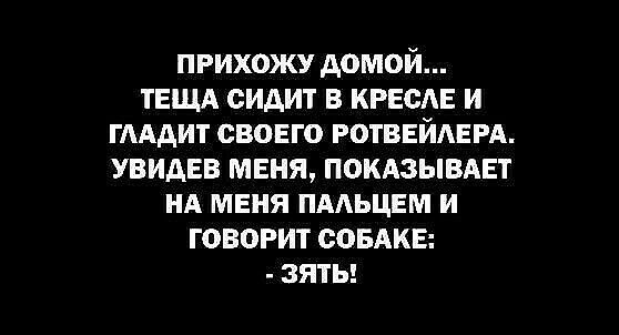 прихожу домой тЕЩА сидит в КРЕСАЕ и ГАААИТ своего РОТВЕЙАЕРА УВИАЕВ мвня покдзывдвт нд меня пмьцьм и говорит СОБАКЕ зяты