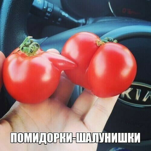 и о мнишии