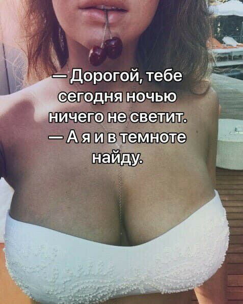 Ничепоне светите