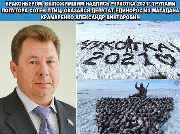 БРАКОИЪЕРОМ БЬШОЖИМШИМ НАДПИСЬ ЧУКОТКА 2021 ТРУПАМИ ПОПУТОРА СОТЕН ПТИЦ ОКАЗАЛСЯ дЕПУТАЪЕдИНОРос ИЗ М шил КРАМАРЕНКО АЛЕКСАНДР ВИКТОРОВИЧ