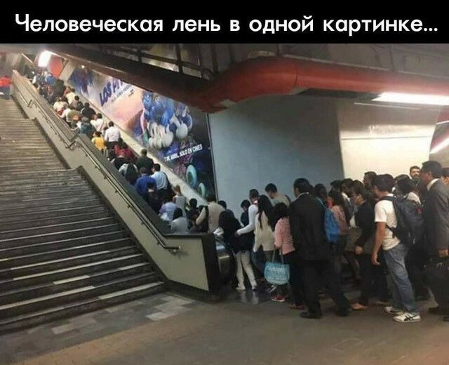 человеческая лень В ОДНОЙ КОРТИНК6