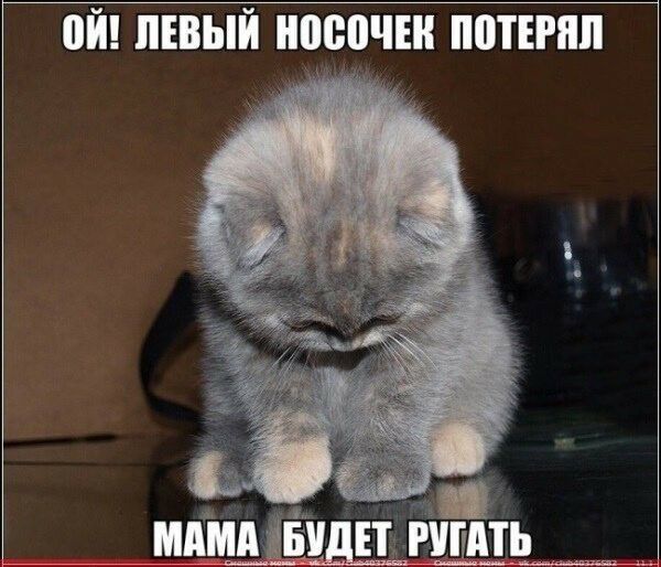 ОЙ ЛЕВЫЙ НПВВЧЕН ППТЕРПП МАМПЁШП РУПП
