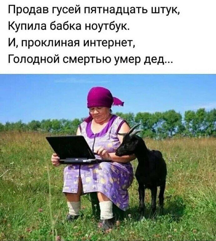 Продав гусей пятнадцать штук Купила бабка ноутбук И проклиная интернет Голодной смертью умер дед