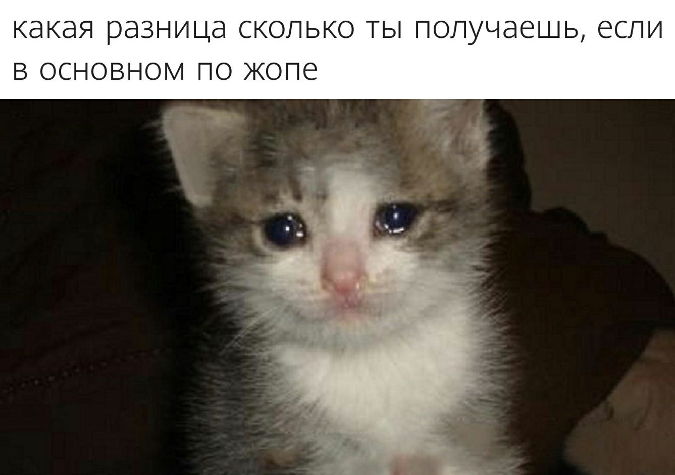 КдКдЯ разница СКОЛЬКО ТЫ ПОПУЧЭЕШЬ ЕСЛИ В ОСНОВНОМ ПО жопе