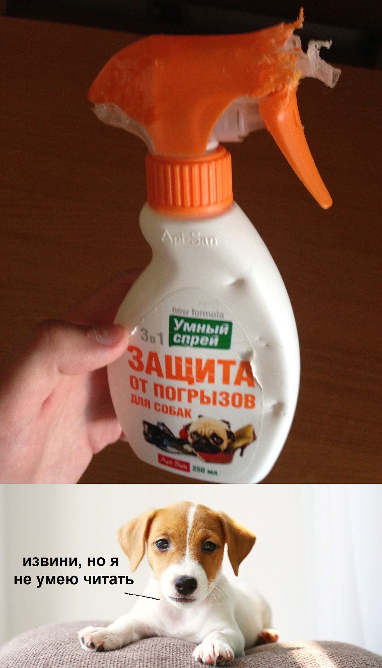 Извини, но я не умею читать