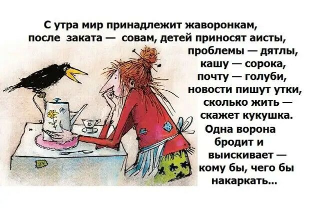 С утра мир принадлежит жаворонкам после заката совам детей приносят аисты проблемы дятлы кашу сорока почту голуби сколько жить скажет кукушка Одна ворона бродит и выискивает кому бы чего бы накаркать