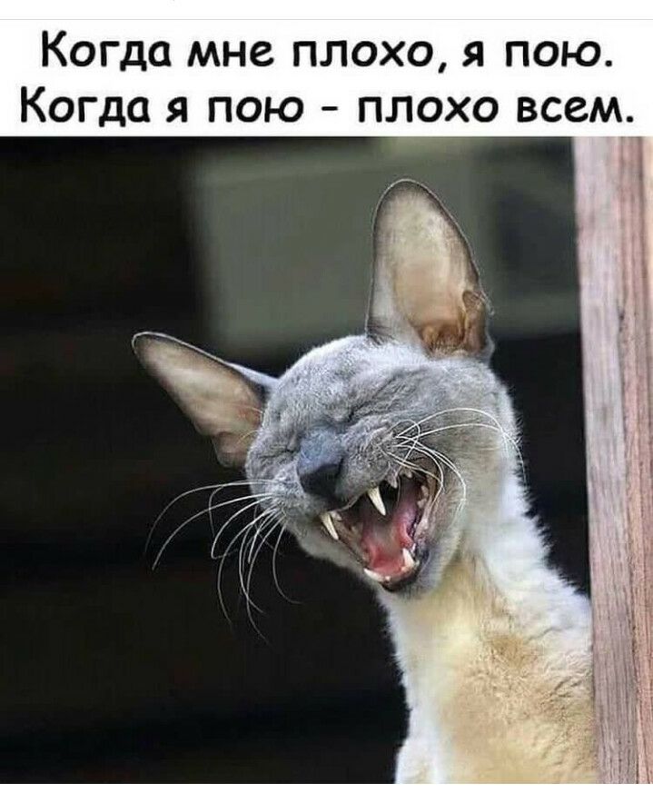 Когда мне плохо я пою Когда я пою плохо всем