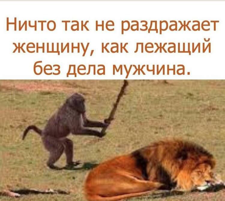 Ничто так не раздражает женщину как лежащий без дела мужчина