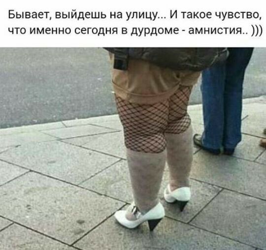 Бывает выйдешь на улицу И такое чувство что именно сегодня в дурдоме амнистия