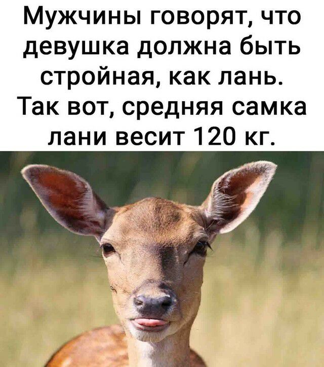 Мужчины говорят что девушка должна быть стройная как лань Так вот средняя самка лани весит 120 кг